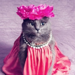 Полина 