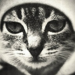 Борис Белогуров, 21.04.1988, Кокшетау