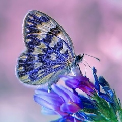 Гульжан Молдахмет, 17.11.2005