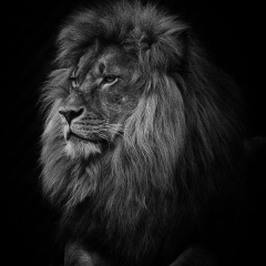 Олег Таранов, 27.09.1987