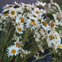 Максим Чуйков, 03.07, Донецк