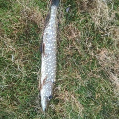 Олег Макаров, 08.12.1969, Кирсанов