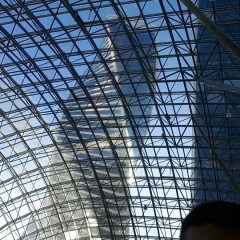 Александр Ким