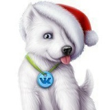 Дарья Ванькова, 08.12, Заречный