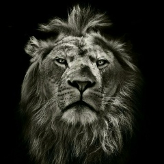 Turar Almuratov, 21.11.1996