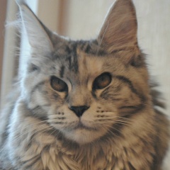 Владислава Краснова, 10.09.1983, Москва