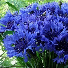 Надежда Святковская, 14.09.1989, Черкассы