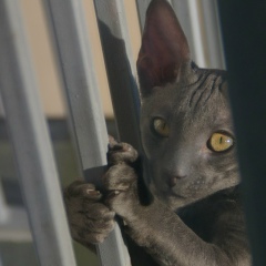 Марина Каулина, 18.01, Санкт-Петербург