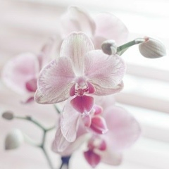 Екатерина Райковская, 04.02.1984, Житомир