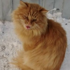 Захар Трюхало, 24.04.1986, Луга