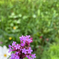 Наталия Паранина, 21.04.1977, Арск