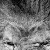 Антон Пичков, Москва