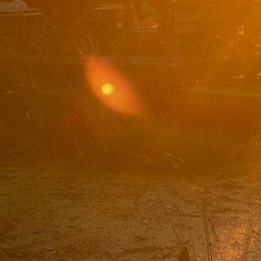 Владимир Савватеев, 11.10, Москва