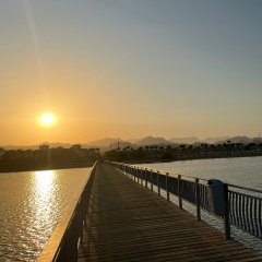 Александр Л, Каушаны