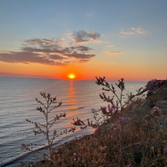 Ольга Авдеева, 19.07, Санкт-Петербург