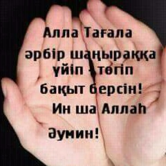 Ерлан Шынтаев, 04.12, Алматы