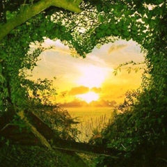 Александр Александров, 09.12, Иваново