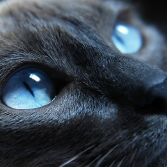 Олег Грабарчук, 13.06.1983