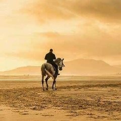 ကို ကို, 01.01.2001