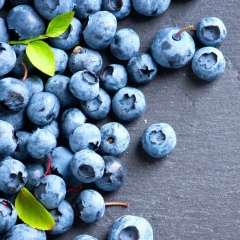 Kamila Temirbekova, 23.04.1990