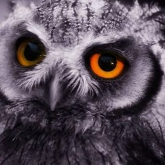 Адина Увалиева, 24.08, Алматы