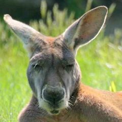 Эдуард Тихонов, 27.04.1980, Санкт-Петербург