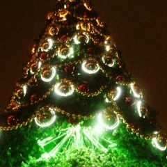 Жанарбек Мирзалиев, 06.12, Ош