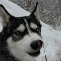 Сергей Уфимцев, 01.03.1986, Тюмень