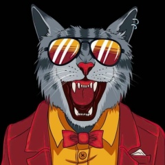 Бешто Салманиев, 08.12.1991, Грозный