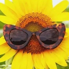 Марина Абрамова, Остров