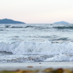 Семен Борода, 20.06