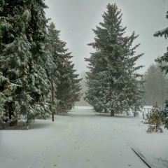 Мирослава Криворучко, Хмельницкий