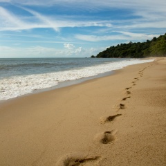 Фёдор Потапов, 05.08, Москва
