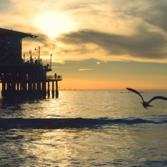 Инна Черниенко, 27.07.1987, Днепр (Днепропетровск)