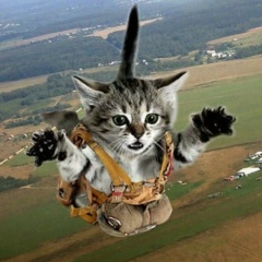 Екатерина Екатерина, 11.08.1982, Москва