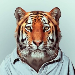 Костик Шевченко, 27.10.1984, Кропивницкий / Кировоград