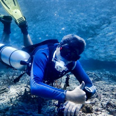 Александр Артёмов