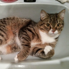 Наталья Мишина, 30.10.1974, Карасук