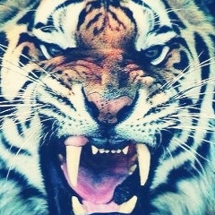 Ramazan Myrzatay, 22.12.1996