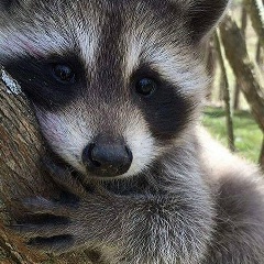 Мансур Солтаев, 04.01.1991, Аргун