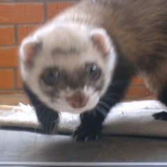 Руслан Мединский, 12.04, Москва