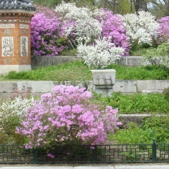 Арекусандра Смактина, Санкт-Петербург