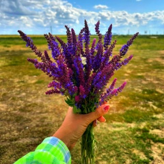 Екатерина Коннова, 18.11.1987, Волгоград