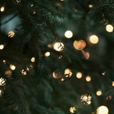 Наталья Бэйкон, Москва