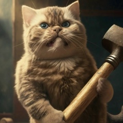 Алексей Бадрыгин, Санкт-Петербург