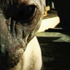 Ника Дзыба, 07.03