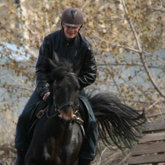 Евгений Сорокин, Бугульма