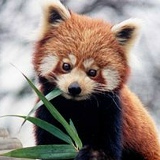 Антон Оганезов, 02.07.1989, Харьков