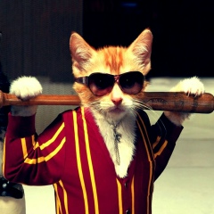 Руслан Раджабов, 04.06, Иркутск