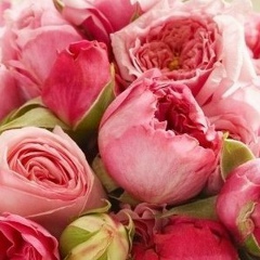 Айгуль Мустафина, 23.12.1987, Алматы